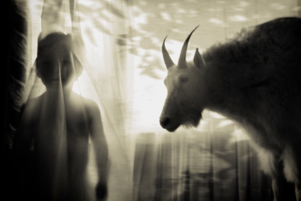 Photograph Angela Bacon Kidwell Untitled 1 on One Eyeland